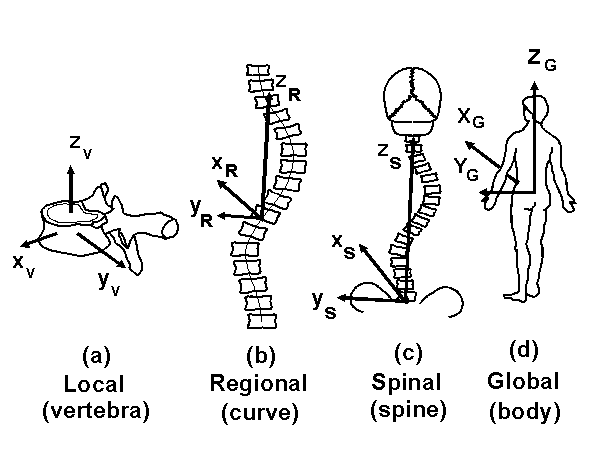 fig1