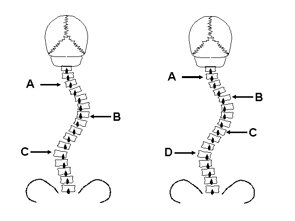 fig3